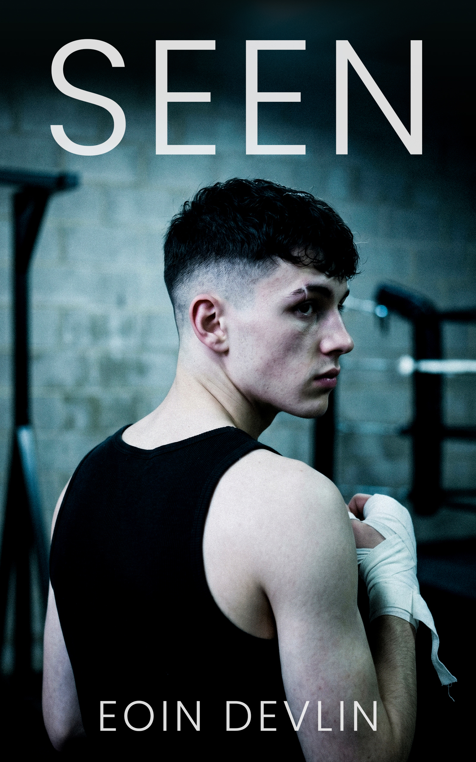 Cover of Seen by Eoin Devlin