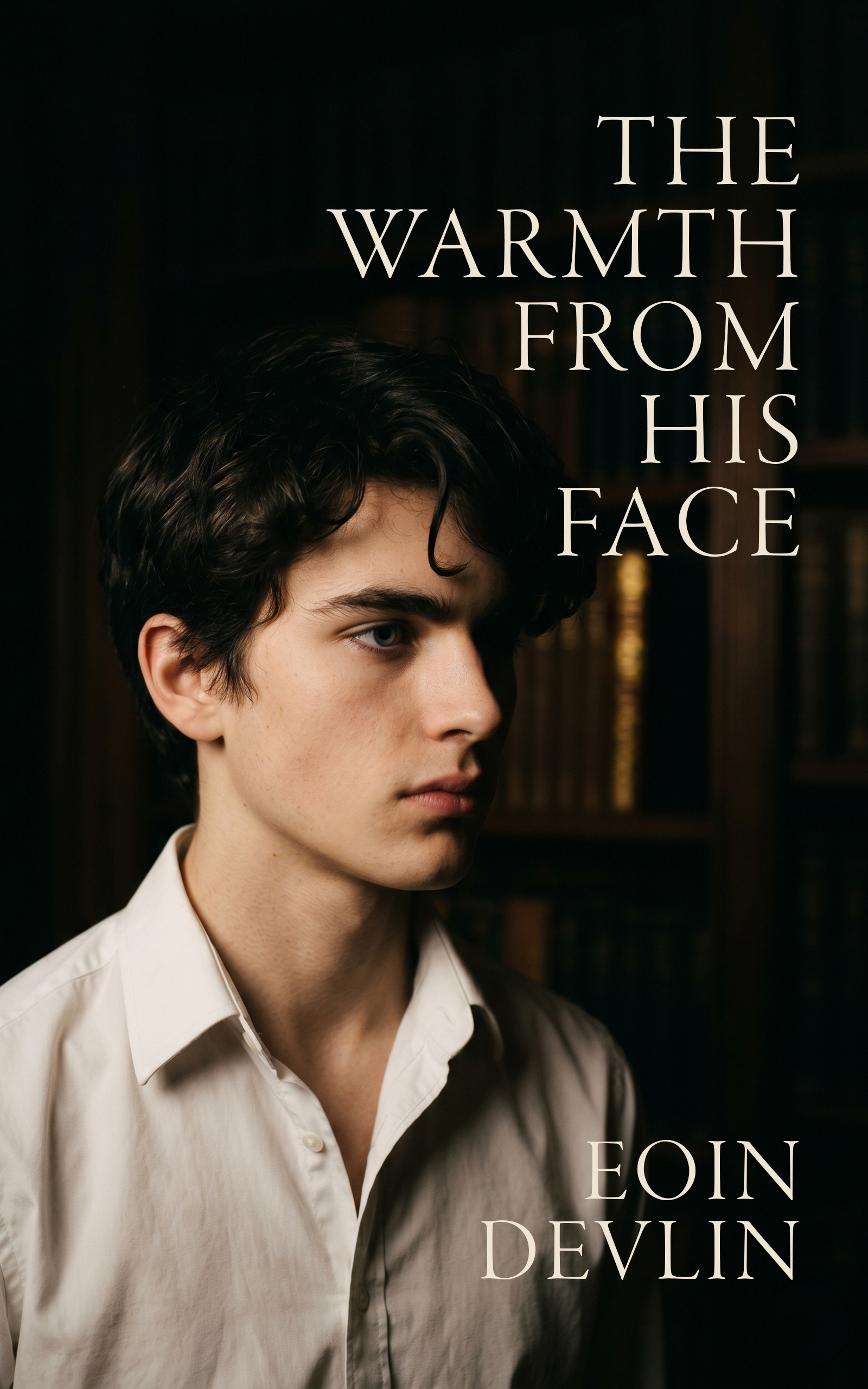 Cover of The Warmth From His Face by Eoin Devlin